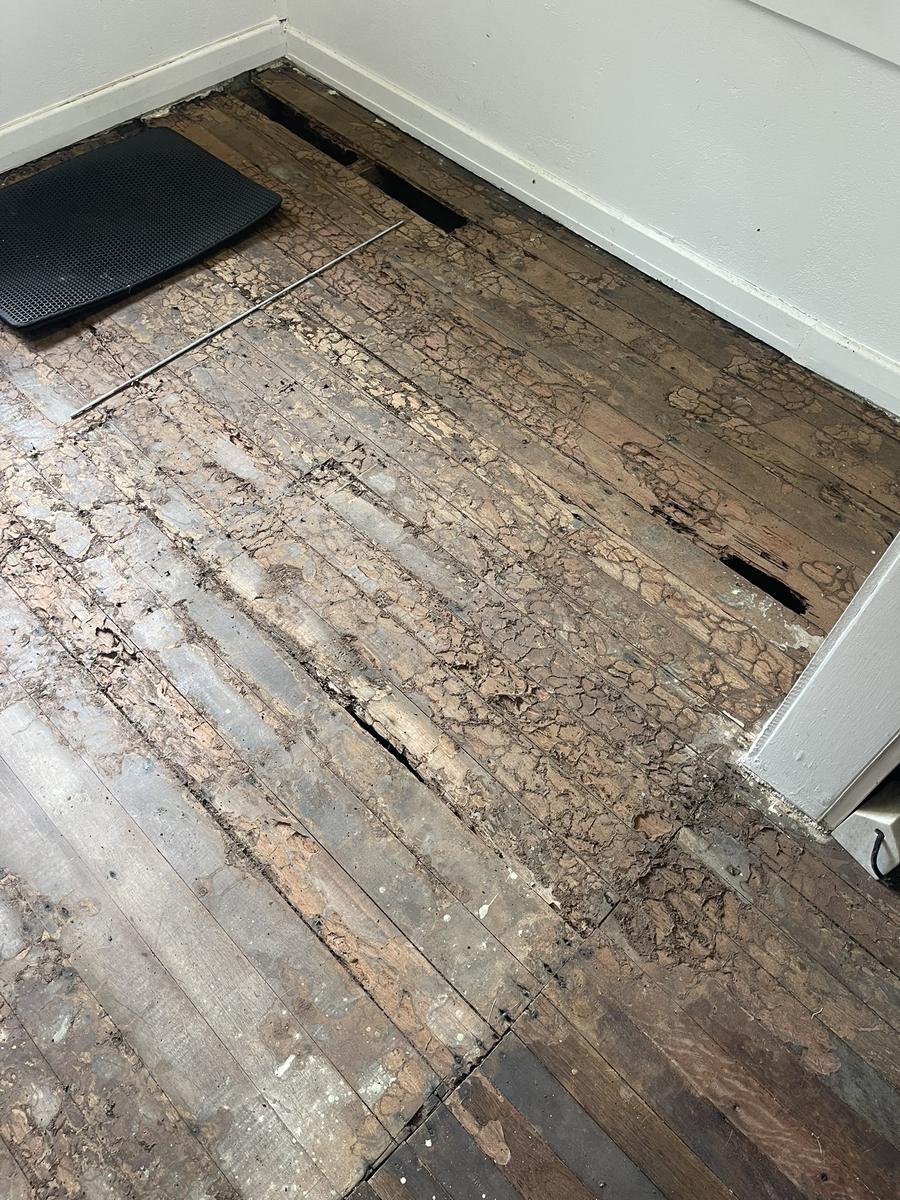Termite-damaged floorboards uncovered during an inspection